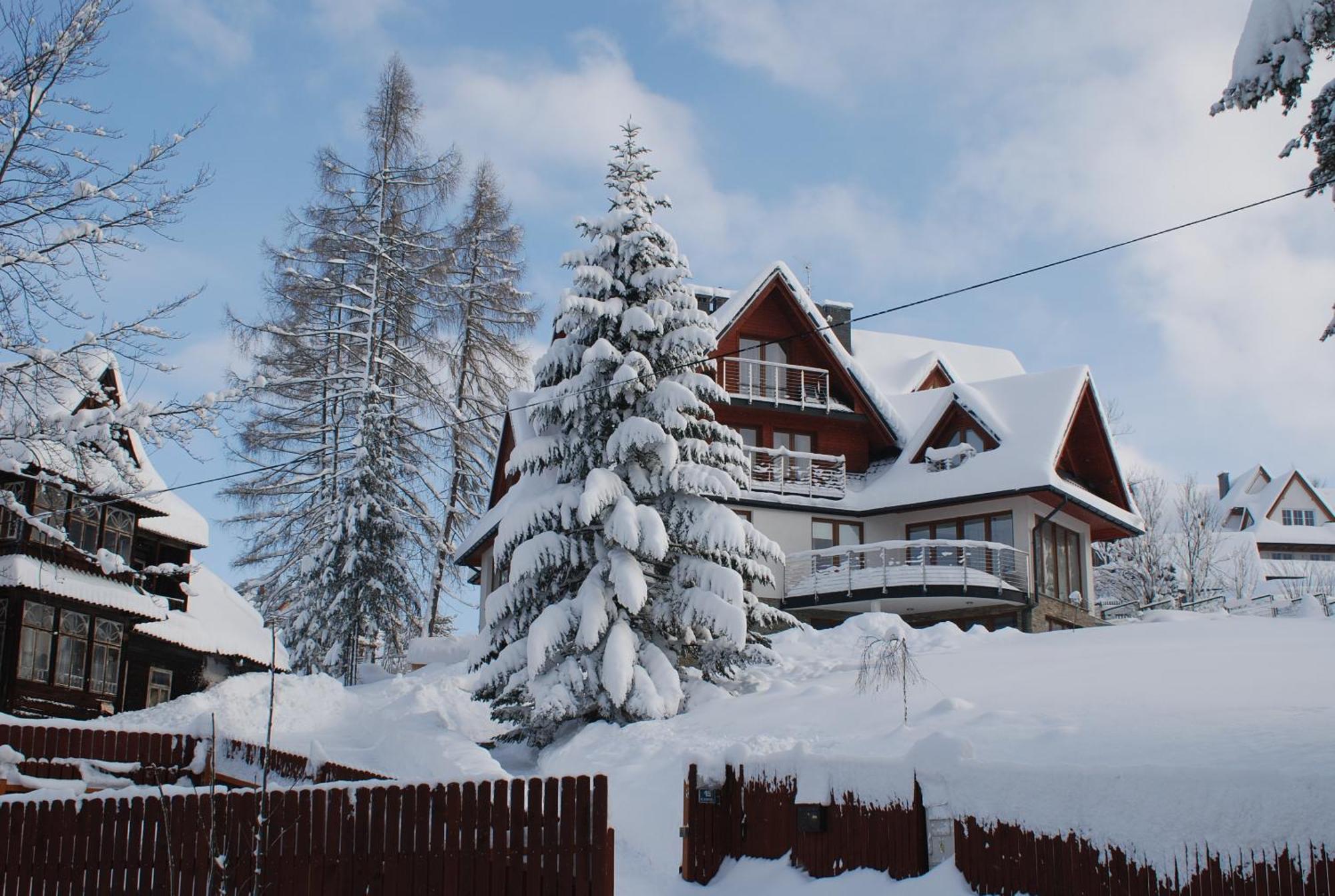 Villa Park Буковина Татжанска Екстериор снимка